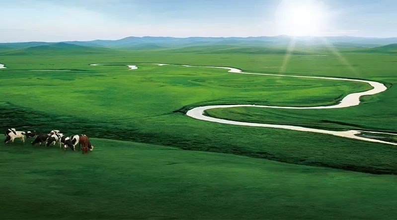 中正鍋爐與武威市伊利乳業(yè)合作共贏 達成3臺15噸燃氣鍋爐系統(tǒng)